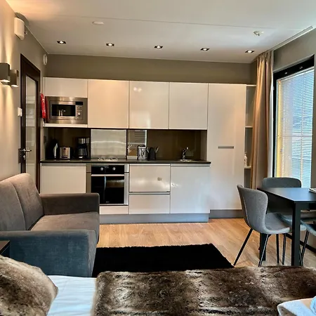 Gold Apartment Levi